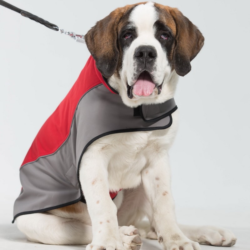 Накидка для московской сторожевой «Raincoat Cape»